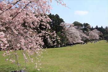 泉自然公園の風景