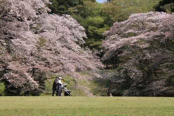 泉自然公園の風景