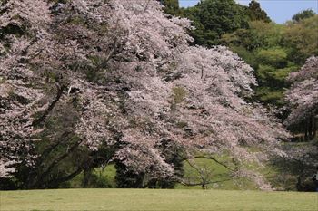 泉自然公園の風景