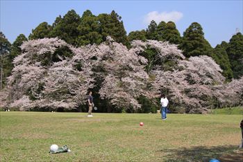 泉自然公園の風景