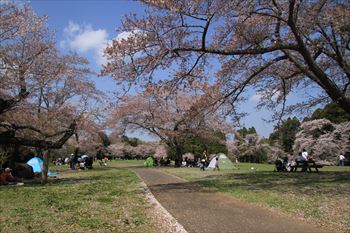 泉自然公園の風景