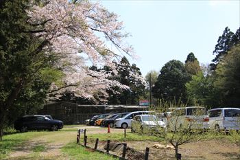 泉自然公園の風景