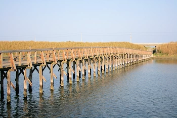 中瀬大橋の画像