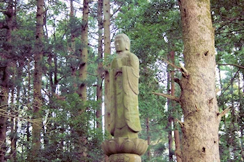 奈良大仏の画像