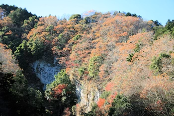 清和県民の森の画像