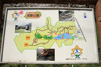 茂原公園の風景