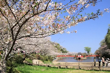茂原公園の風景