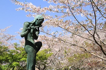 茂原公園の風景