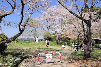 茂原公園の風景