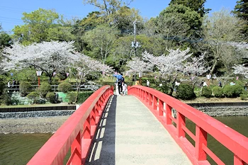 茂原公園の風景