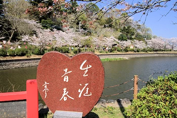 茂原公園の風景
