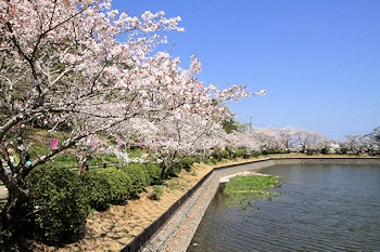 茂原公園の風景