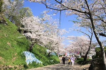 茂原公園の風景