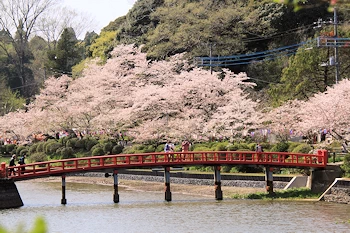 茂原公園の風景