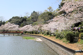 茂原公園の風景