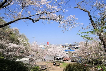 茂原公園の風景