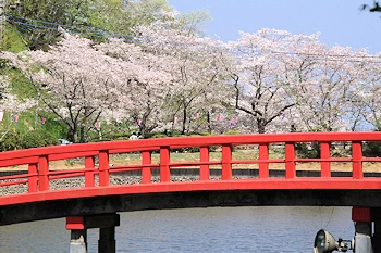 茂原公園の風景