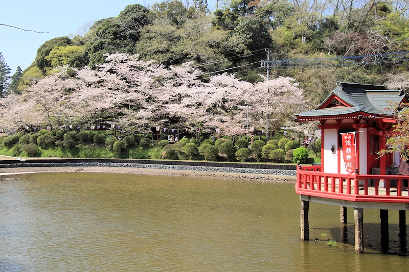 茂原公園の風景