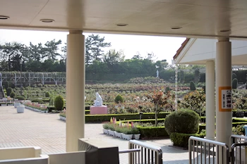 谷津バラ園の画像