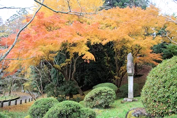 成田山公園の画像