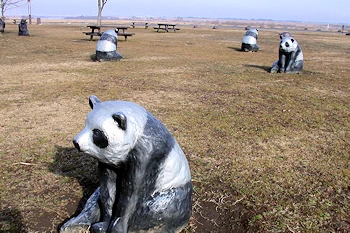 関宿にこにこ水辺公園の画像