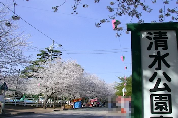 清水公園の風景