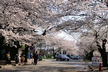 清水公園の風景