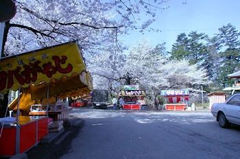 清水公園の風景