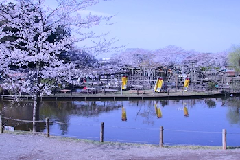 清水公園の風景