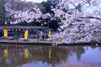 清水公園の風景