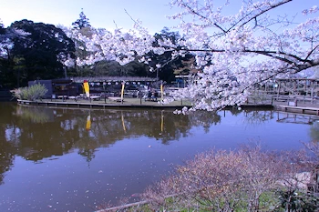 清水公園の風景