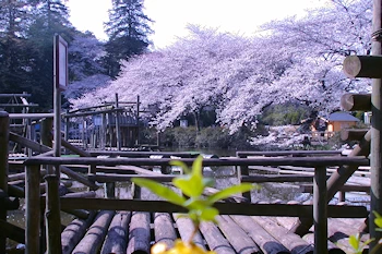 清水公園の風景