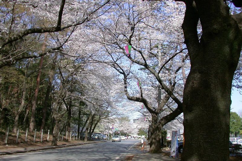 清水公園の風景