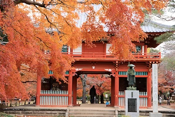 清水公園の風景