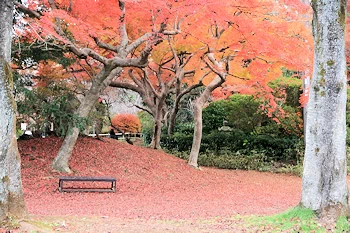 清水公園の風景