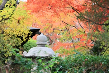 清水公園の風景