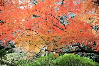清水公園の風景