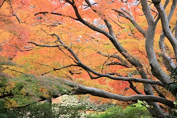 清水公園の風景