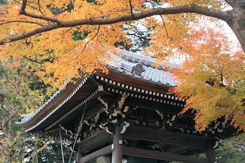 清水公園の風景