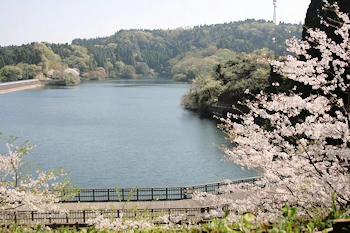小中池公園の画像
