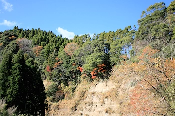 養老渓谷の画像