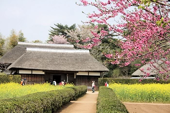 房総のむらの画像