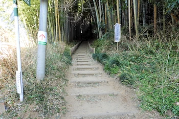 ひよどり坂の画像