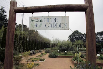 ハーブガーデンハーブの丘の画像