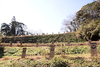 本佐倉城の画像