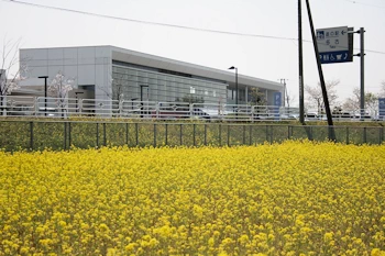 道の駅多古あじさい館の画像
