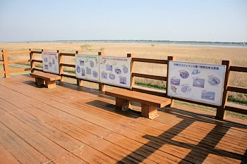 利根川コジュリンこうえんの画像