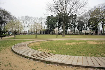 けやきの森公園の画像