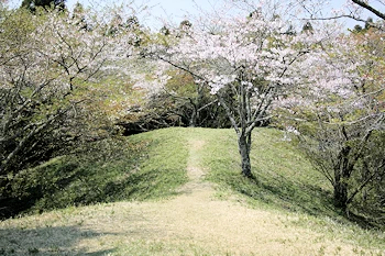 殿塚・姫塚の画像