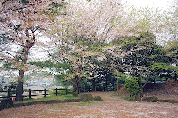 和良比堀込城の画像